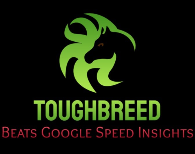 Here's how you can beat Neil Patel on Google Pagespeed Insights